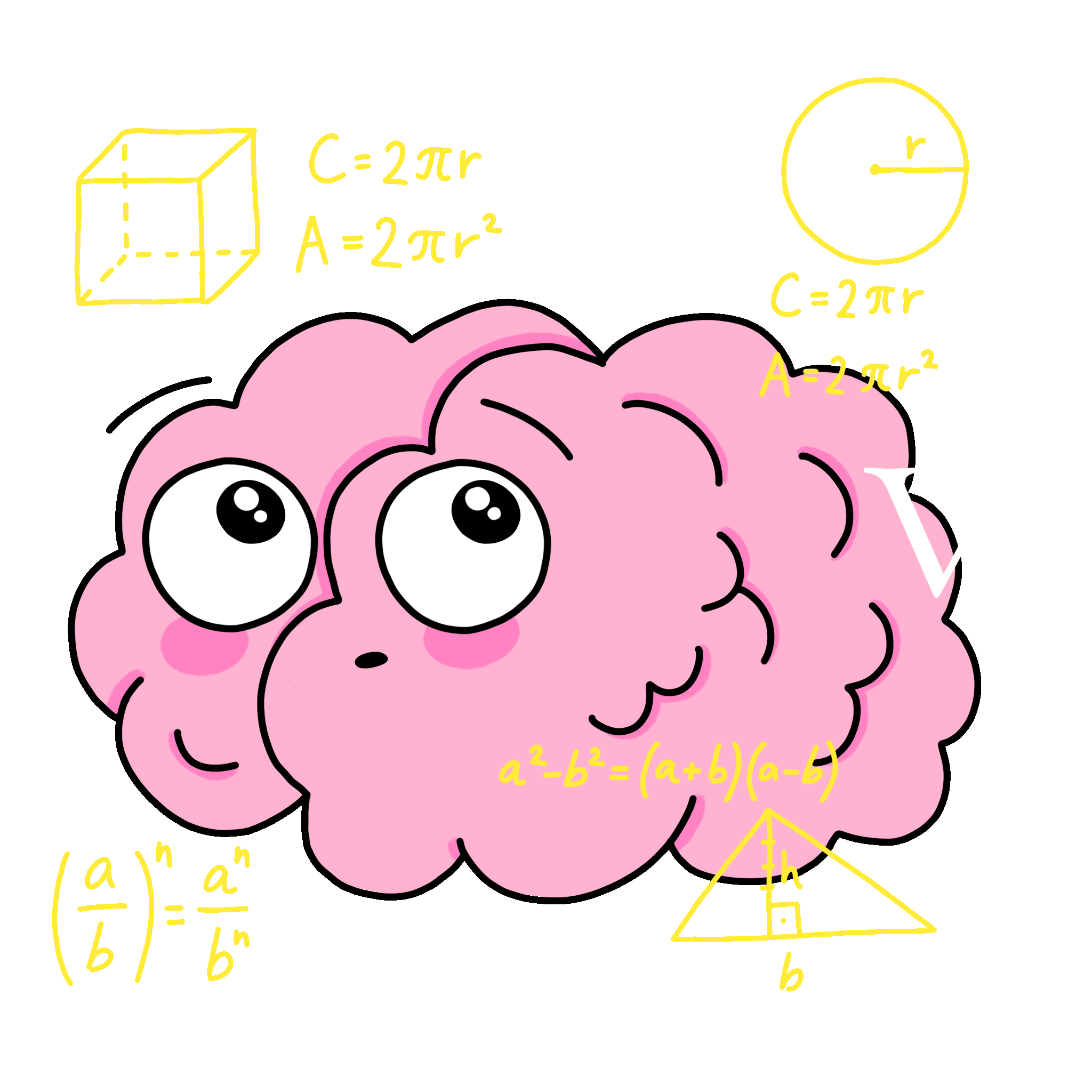 brain
